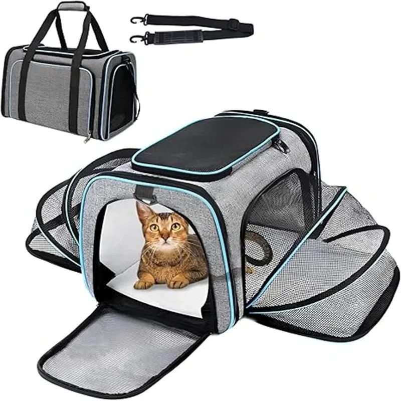 Portable Breathable Foldable P - Foldable Backpack Small review and price